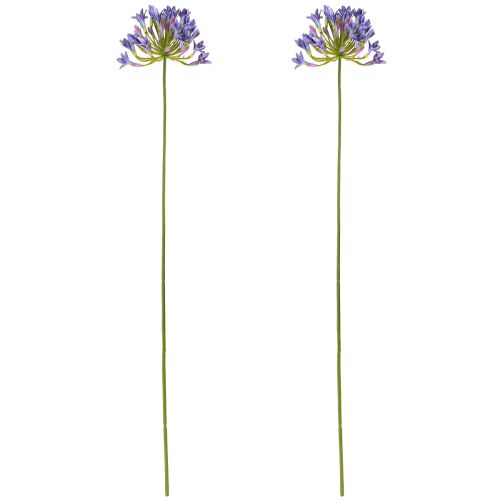 Prodotto Agapanthus Fiori artificiali di giglio africano viola L75 cm 2 pezzi