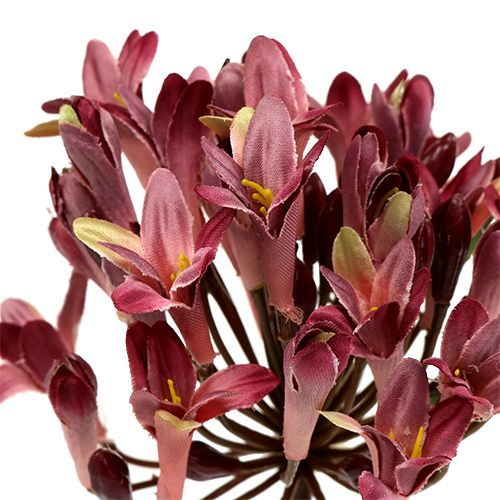 Floristik24 Agapanthus artificiale rosso scuro L75cm 3 pezzi