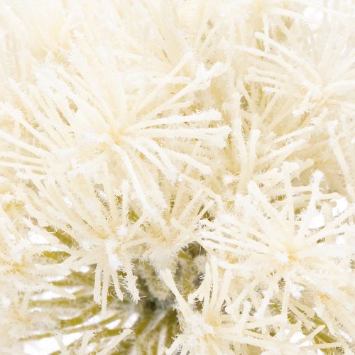 Prodotto Fiore artificiale di allium, design delicato per uso interno, 68 cm