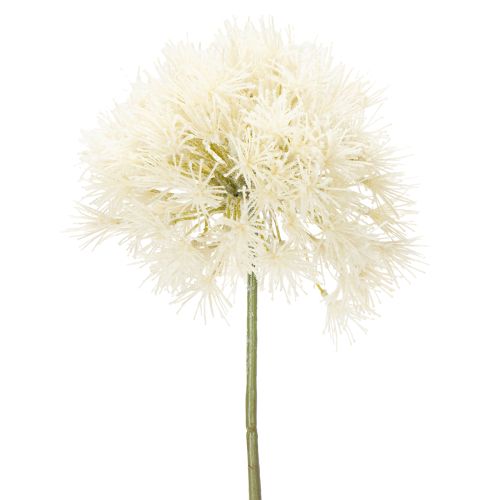 Prodotto Fiore artificiale di allium, design delicato per uso interno, 68 cm