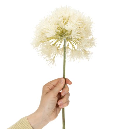 Prodotto Fiore artificiale di allium, design delicato per uso interno, 68 cm