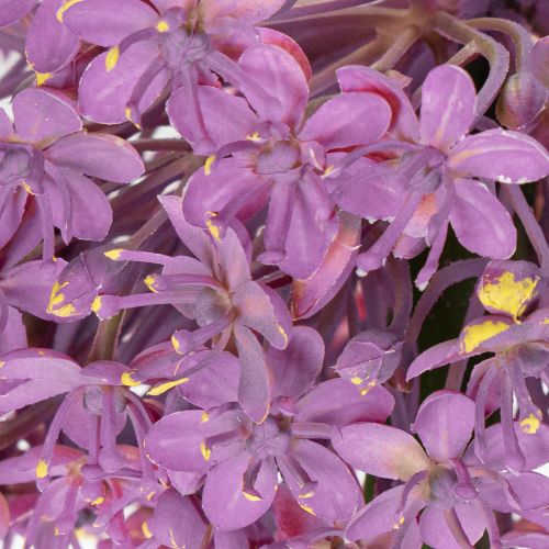 Prodotto Fiore artificiale di Allium, cipolla ornamentale, elegante decorazione per la stanza, 90 cm