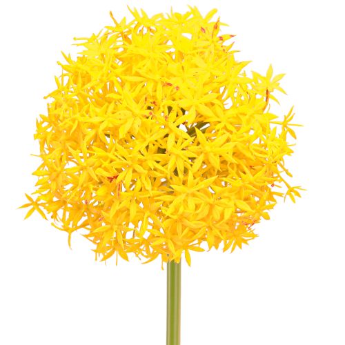 Prodotto Cipolla artificiale Allium Yellow Flower 80 cm Ø14,5 cm 2 pezzi