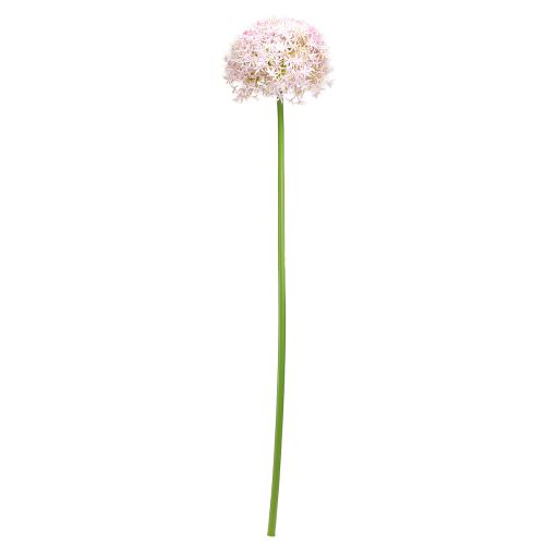 Prodotto Allium con fiori rosa cipolla artificiale Ø18cm L90cm