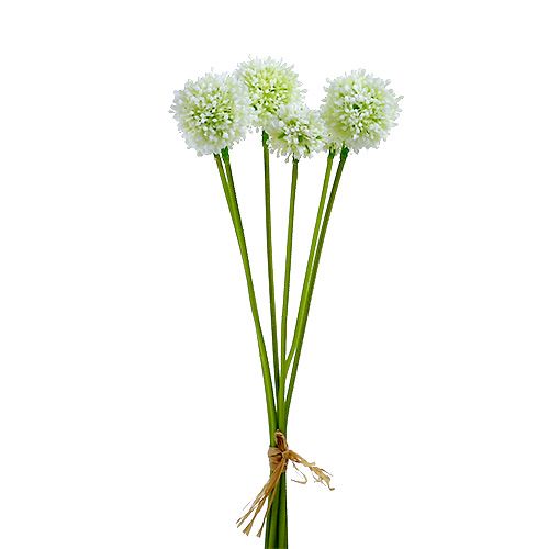 Floristik24 Allium 35cm Bianco 6 pezzi