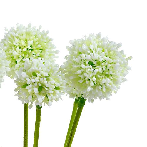 Floristik24 Allium 35cm Bianco 6 pezzi