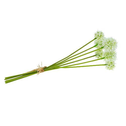 Floristik24 Allium 35cm Bianco 6 pezzi