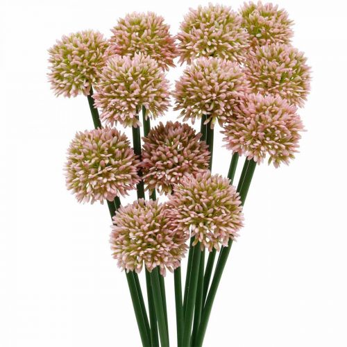 Floristik24 Fiore artificiale allium rosa 38 cm artificiale cipolla ornamentale fiore di seta in mazzo 12 pezzi
