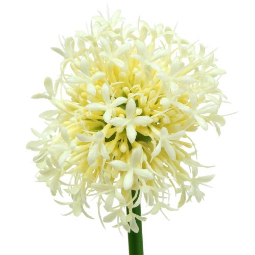 Floristik24 Allium ornamentale bianco artificiale 51cm 4 pezzi