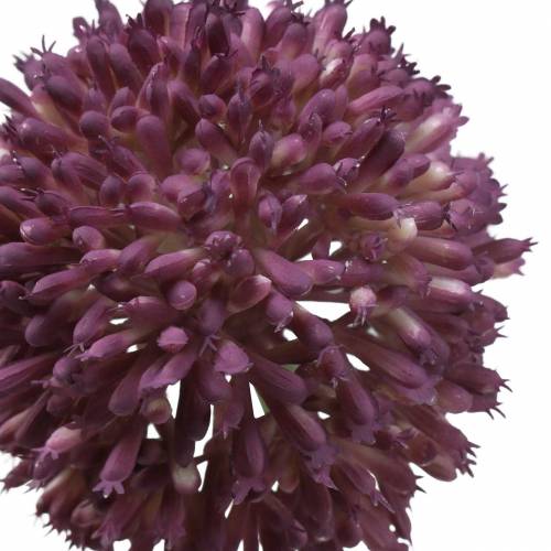 Floristik24 Ornamentale allium artificiale lilla Ø8cm 58cm