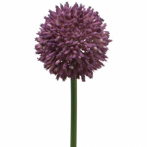 Floristik24 Ornamentale allium artificiale lilla Ø8cm 58cm