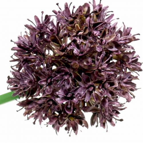 Floristik24 Allium ornamentale artificiale Viola Ø7cm A58cm 4pezzi