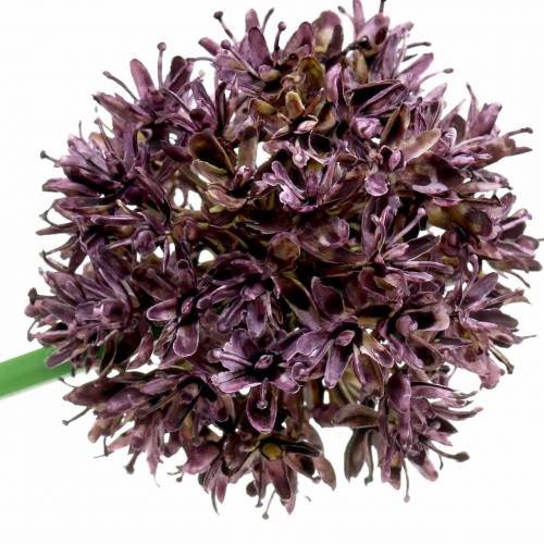 Prodotto Allium ornamentale artificiale Viola Ø7cm A58cm 4pezzi