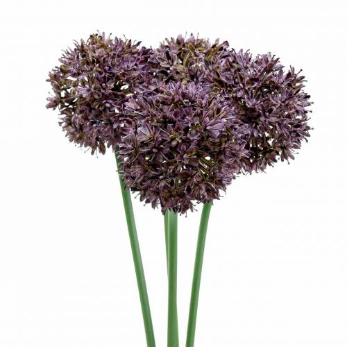 Floristik24 Allium ornamentale artificiale Viola Ø7cm A58cm 4pezzi