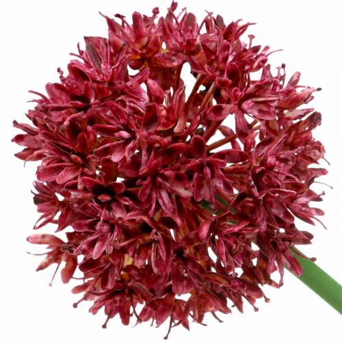 Floristik24 Allium ornamentale artificiale Malva Ø7cm A58cm 4pezzi