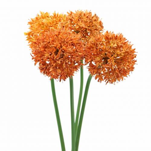Floristik24 Cipolla ornamentale Allium arancione artificiale Ø7cm H58cm 4 pezzi