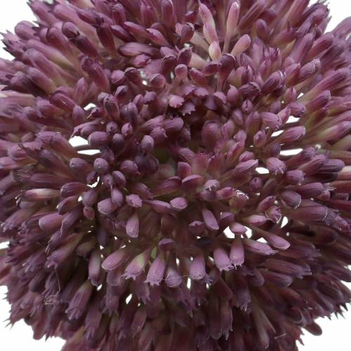 Floristik24 Ornamentale allium artificiale lilla Ø12cm 65cm