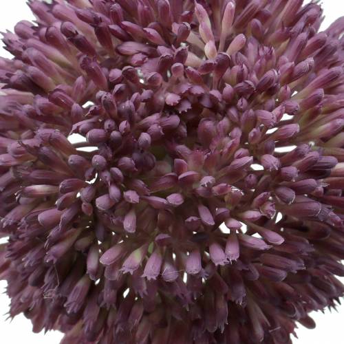 Prodotto Ornamentale allium artificiale lilla Ø12cm 65cm