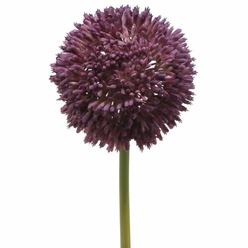 Floristik24 Ornamentale allium artificiale lilla Ø12cm 65cm