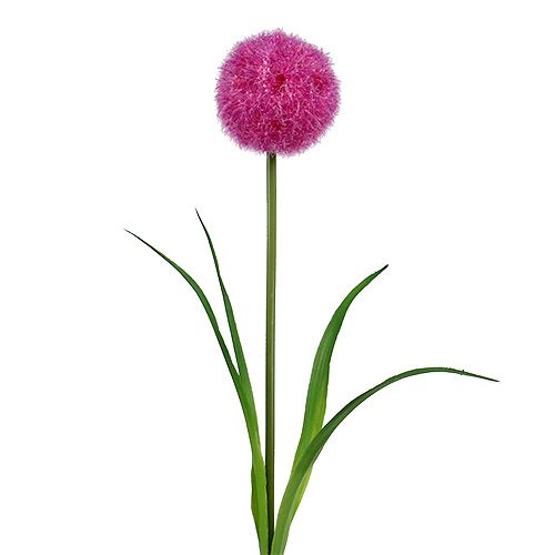 Floristik24 Allium 68 cm rosa-viola