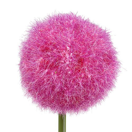 Floristik24 Allium 68 cm rosa-viola