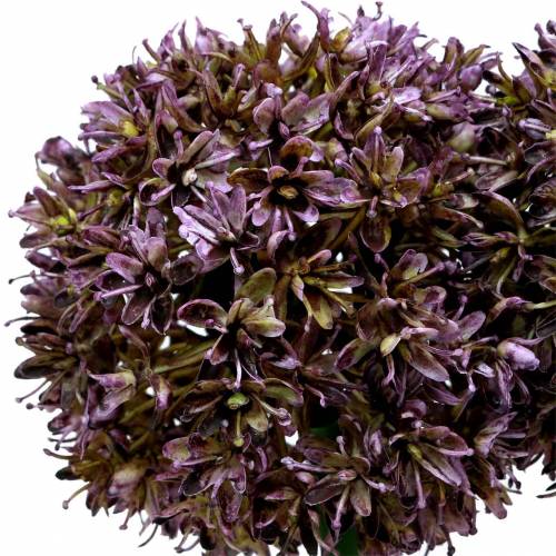 Prodotto Allium ornamentale artificiale viola 70cm 3 pezzi