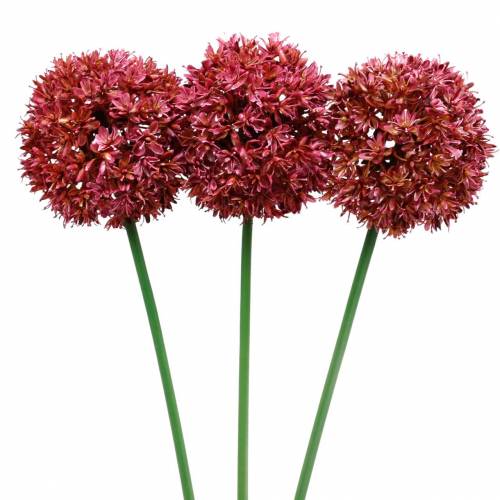 Floristik24 Allium ornamentale malva artificiale Ø9cm H70cm 3 pezzi