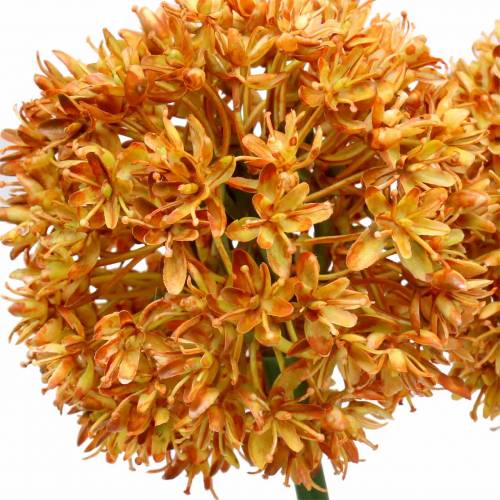 Floristik24 Cipolla ornamentale Allium arancione artificiale 70 cm 3 pezzi