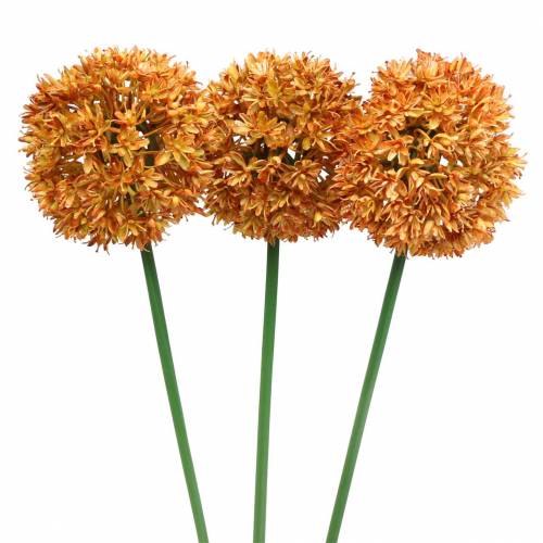 Floristik24 Cipolla ornamentale Allium arancione artificiale 70 cm 3 pezzi
