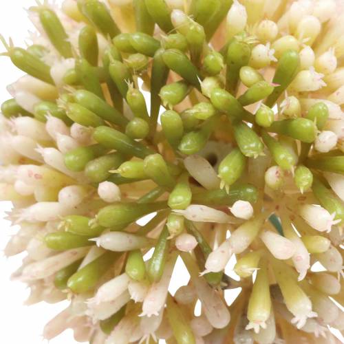 Prodotto Allium ornamentale rosa artificiale / verde Ø8cm 58cm