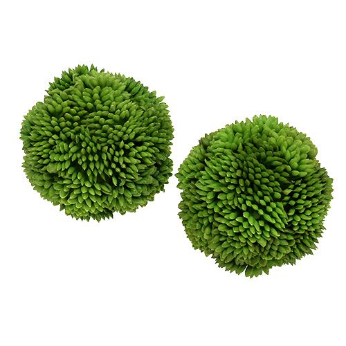 Floristik24 Palla Allium 5cm Verde 4 pezzi