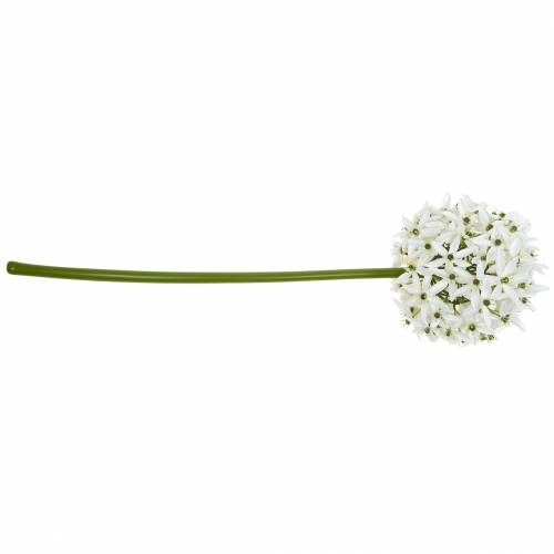 Prodotto Fiore decorativo Allium, porro palla artificiale, cipolla ornamentale bianca Ø20cm L72cm