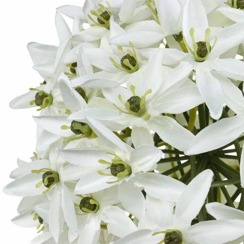 Prodotto Fiore decorativo Allium, porro palla artificiale, cipolla ornamentale bianca Ø20cm L72cm