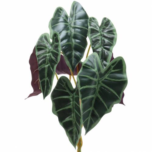Prodotto Pianta artificiale Alocasia freccia verde foglia, viola H48cm