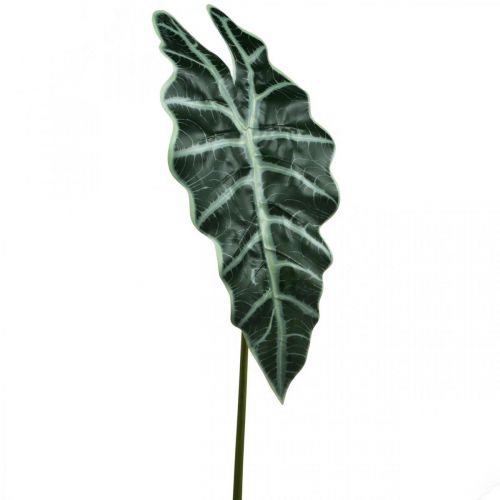 Prodotto Foglia di freccia artificiale pianta artificiale alocasia deco verde 74 cm