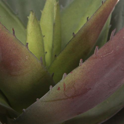 Prodotto Pianta artificiale di aloe vera piante grasse artificiali viola Ø18 cm