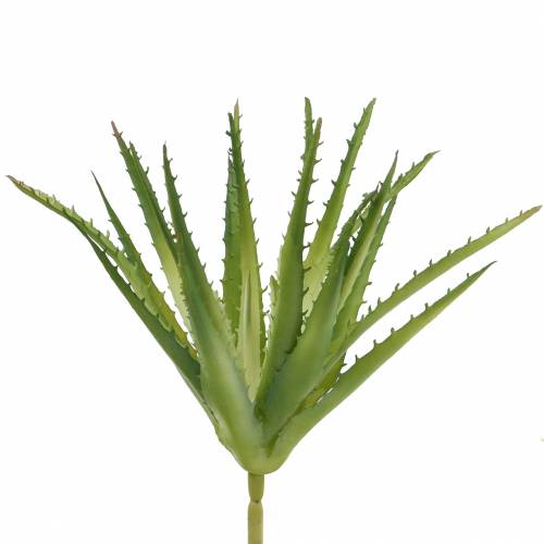 Aloe Vera Verde artificiale 26cm