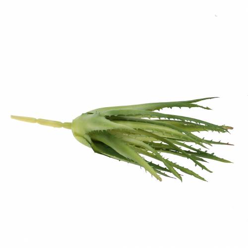 Prodotto Aloe Vera Verde artificiale 26cm