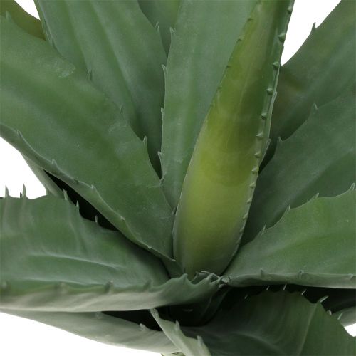 Floristik24 Ramo di aloe verde artificiale 47cm