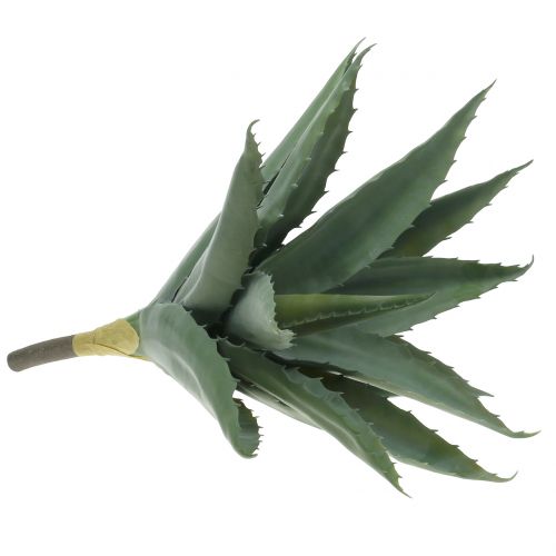 Floristik24 Ramo di aloe verde artificiale 47cm