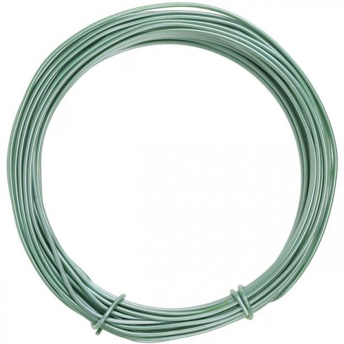 Floristik24 Filo di alluminio Ø2mm Verde Opaco 100g 12m