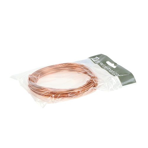 Prodotto Filo di alluminio 2mm 100g 12m rame