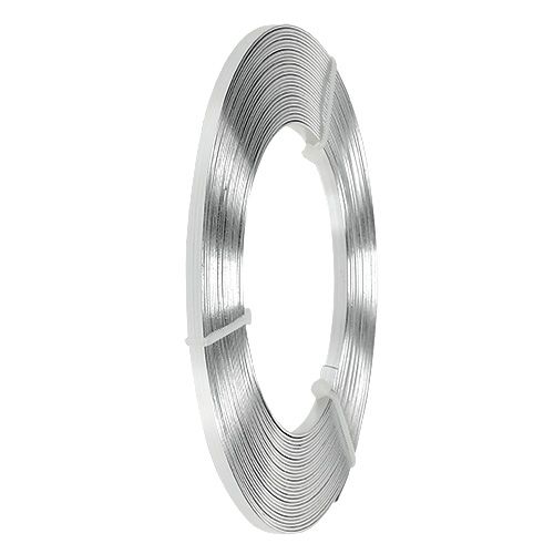 Prodotto Filo piatto in alluminio argento 5mm x1mm 10m