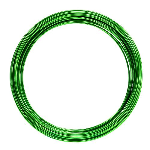 Filo di alluminio 2mm 100g verde mela