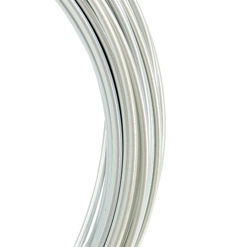 Prodotto Filo di alluminio 2mm 100g crema