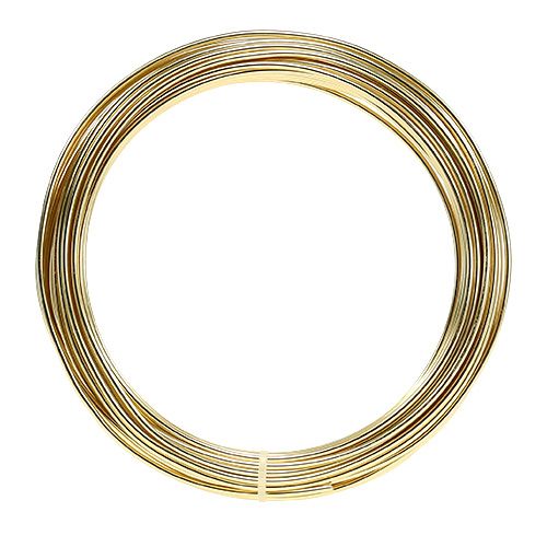 Floristik24 Filo di alluminio 2mm 100g oro