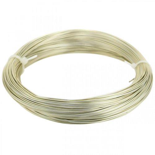 Floristik24 Filo di alluminio Ø1mm filo per gioielli champagne tondo 120g