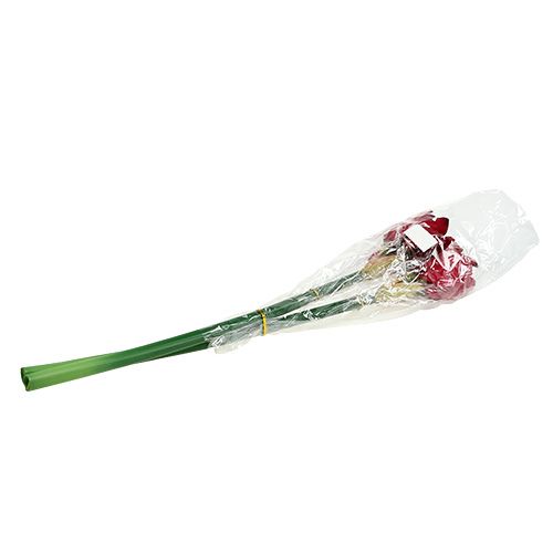 Floristik24 Amaryllis rosso scuro L 73 cm 2 pezzi