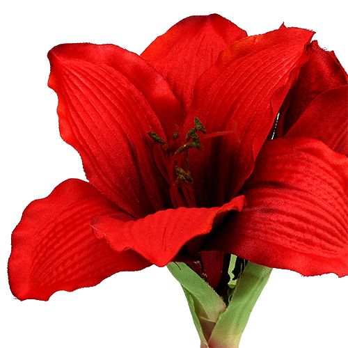 Floristik24 Amaryllis Red L 68cm 1pz