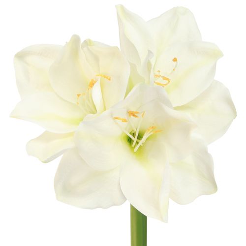 Prodotto Amaryllis Fiori di Natale artificiali L55cm bianchi 2 pezzi